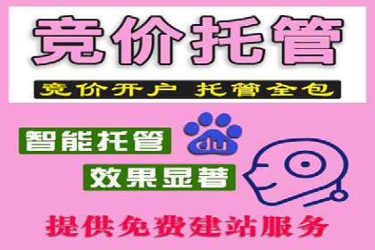 精准营销的利器：sem百度竞价的五大成功案例